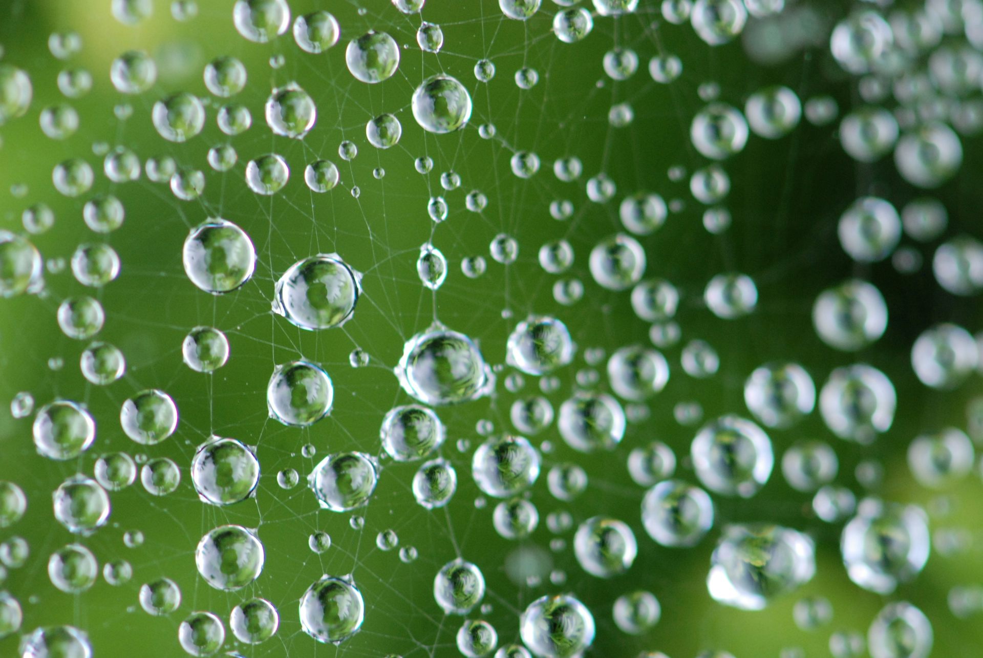 Pourquoi Nous Pouvons Sentir L Odeur De La Pluie