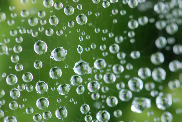 Pourquoi Nous Pouvons Sentir L Odeur De La Pluie Pourquoi Nous Pouvons Sentir L Odeur De La Pluie