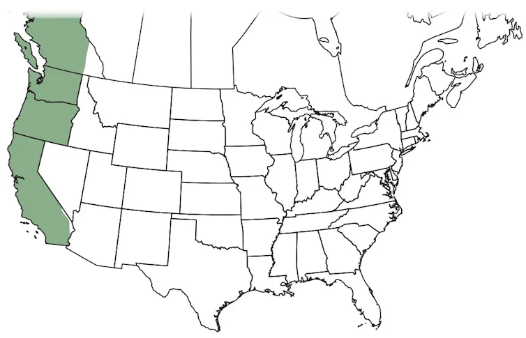 Cdc Cryptococcus Map This disease’s deadliest weapon is the fact you’ve never heard of it