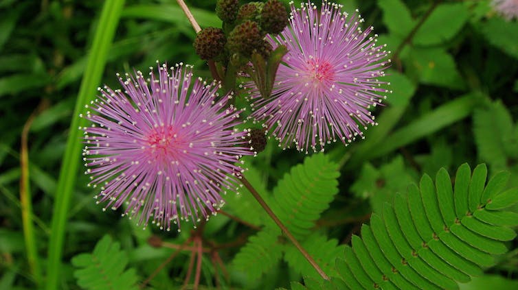 File 20180918 158234 145v2zr.jpg?ixlib=rb 1.1