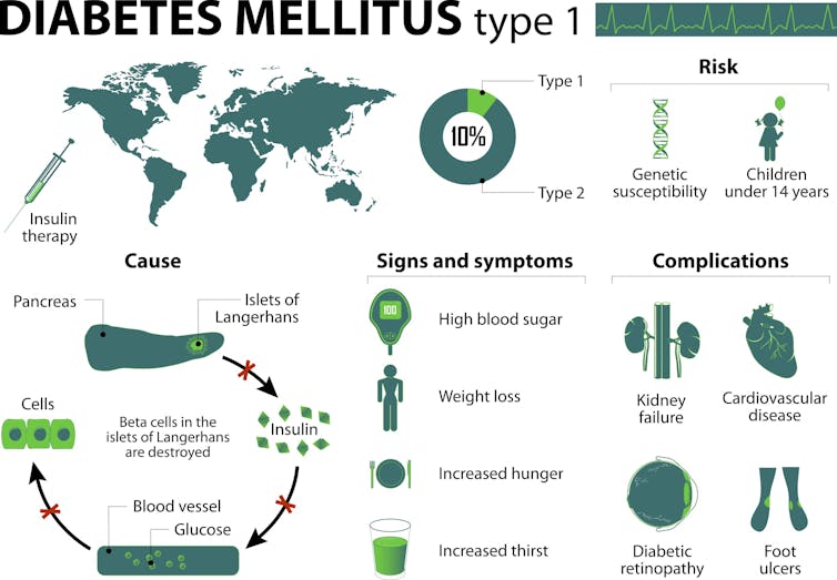 Mapping the 100 trillion cells that make up your body