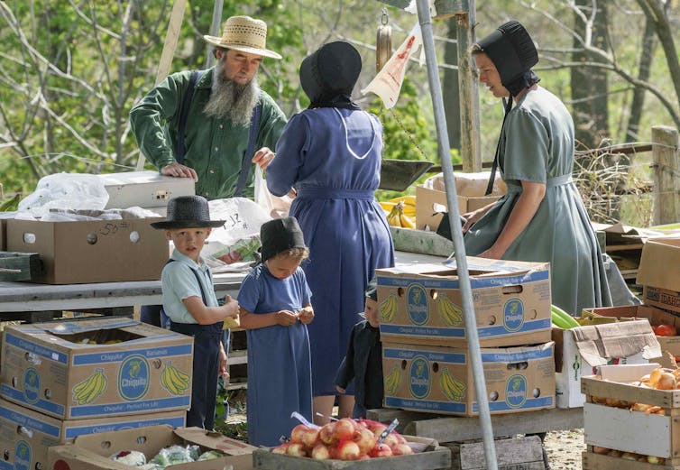 The Amish live simply, but don't confuse them with environmentalists