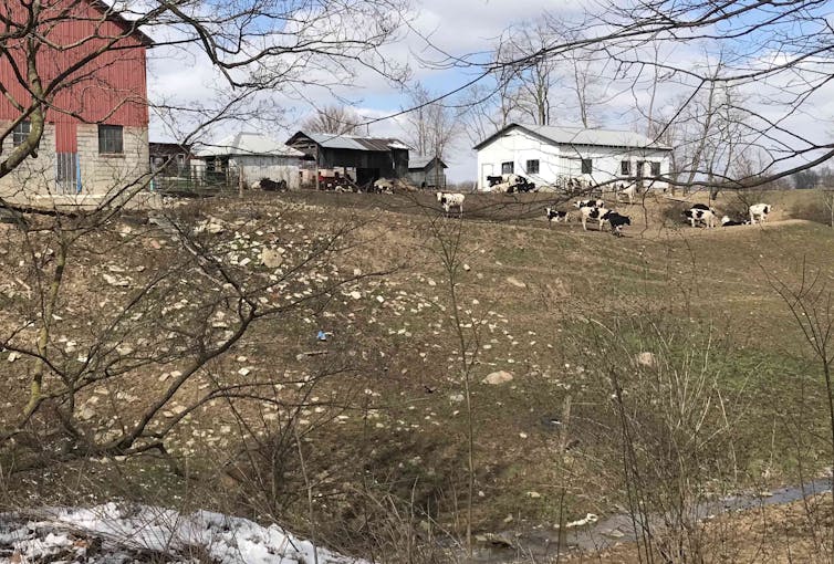 The Amish live simply, but don't confuse them with environmentalists