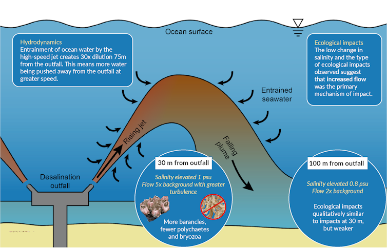 Desal plants might do less damage to marine environments than we thought