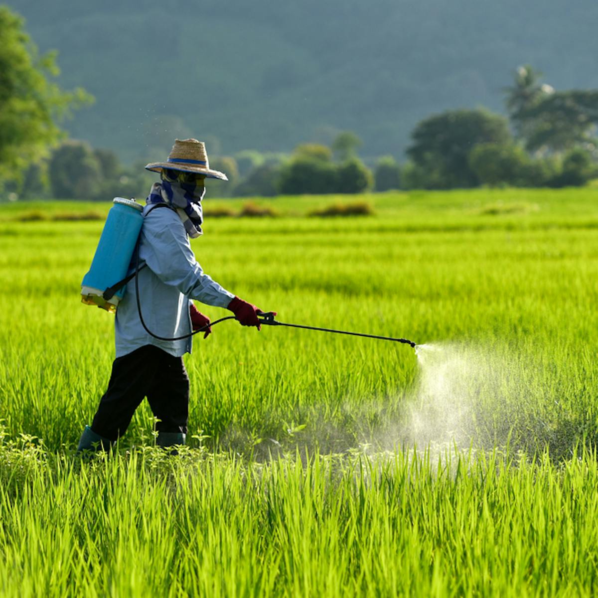 Pesticides And Suicide Prevention Why Research Needs To Be Put Into Practice