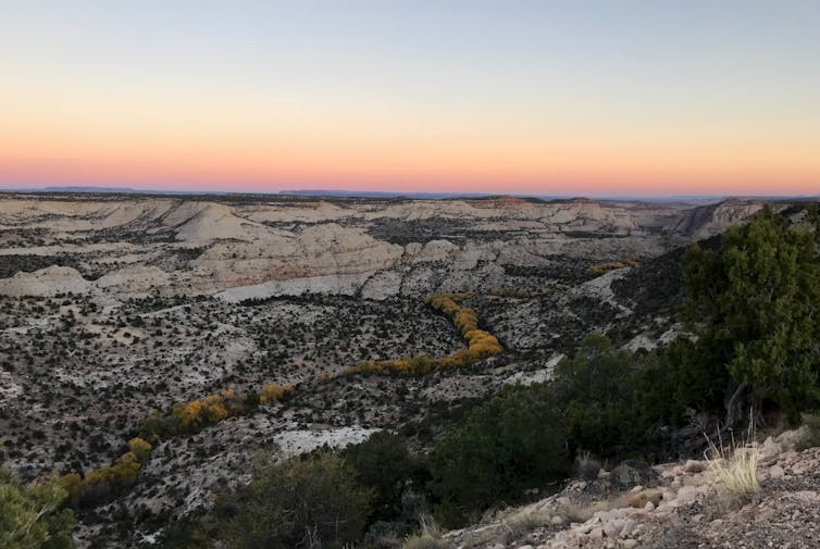 File 20180920 129856 zeg34j.jpg?ixlib=rb 1.1