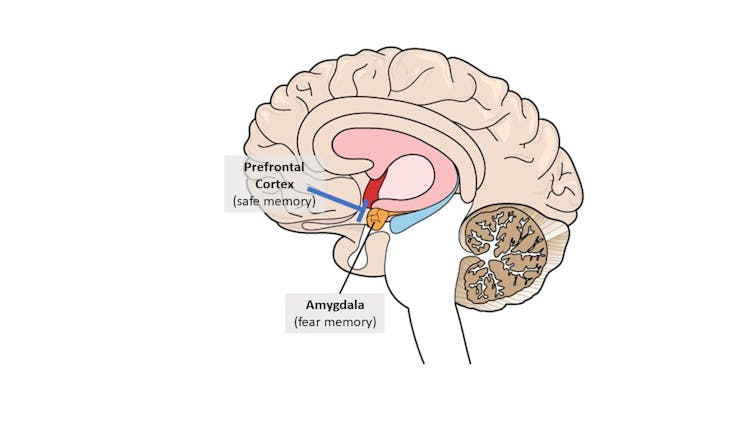 You can't 'erase' bad memories, but you can learn ways to cope with them