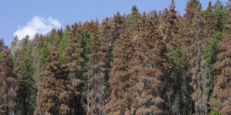 File 20180923 129868 z009ld.jpg?ixlib=rb 1.1