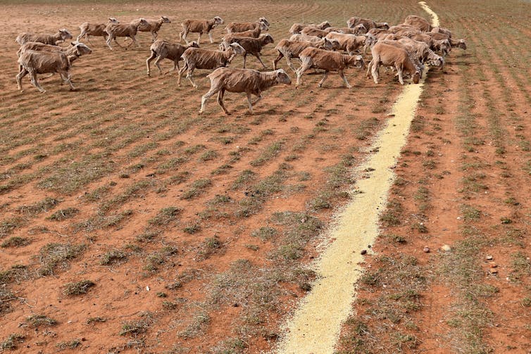 We must strengthen, not weaken, environmental protections during drought – or face irreversible loss