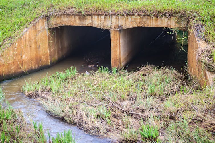 How did the fish cross the road? Our invention helps them get to the other side of a culvert
