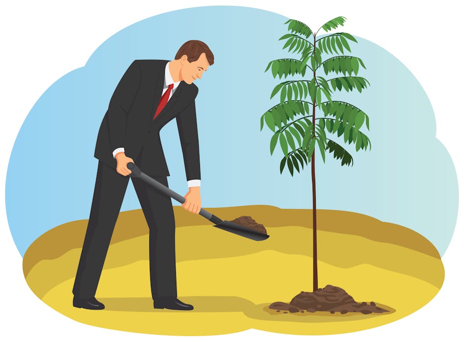 Greenwashing: corporate tree planting generates goodwill but may