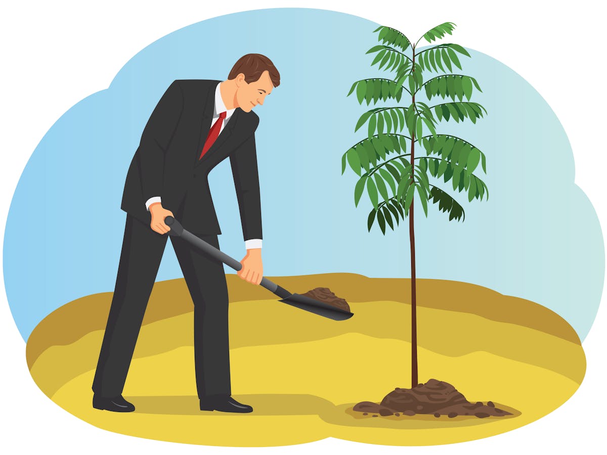 Greenwashing: corporate tree planting generates goodwill but may sometimes  harm the planet