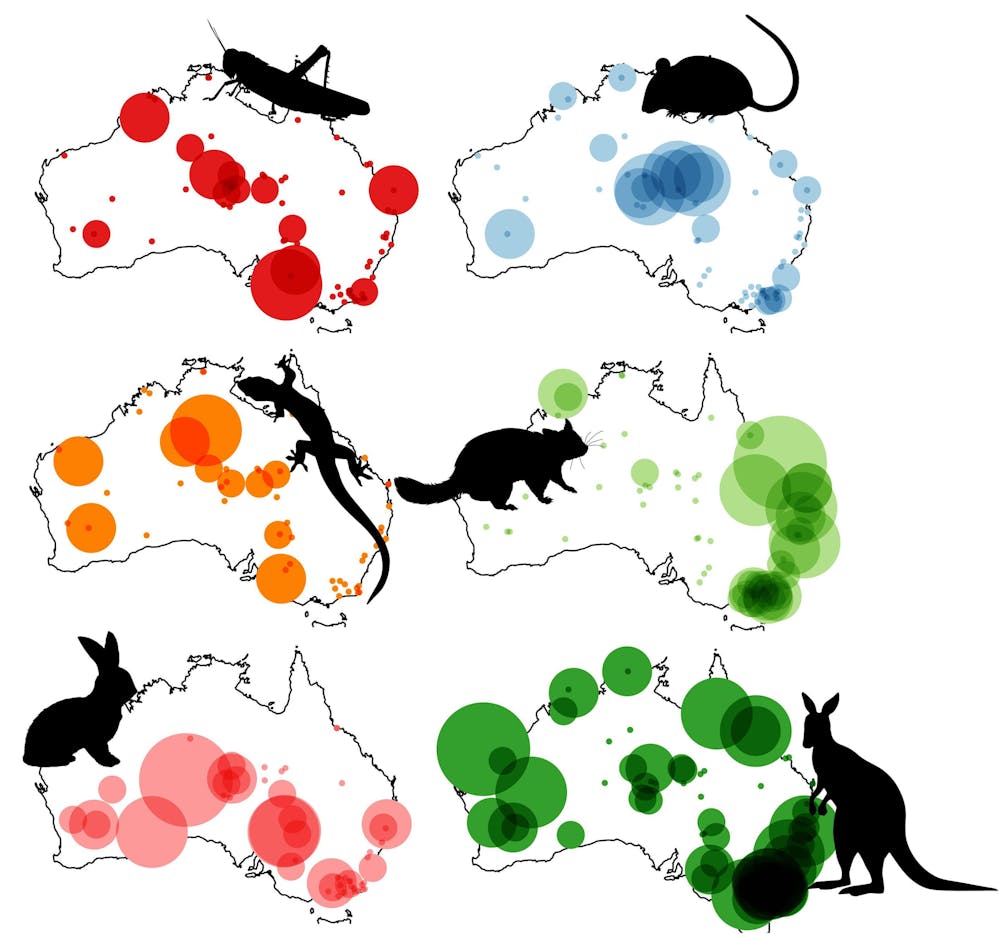 Dingo dinners: what’s on the menu for Australia’s top predator? Biology Diagrams