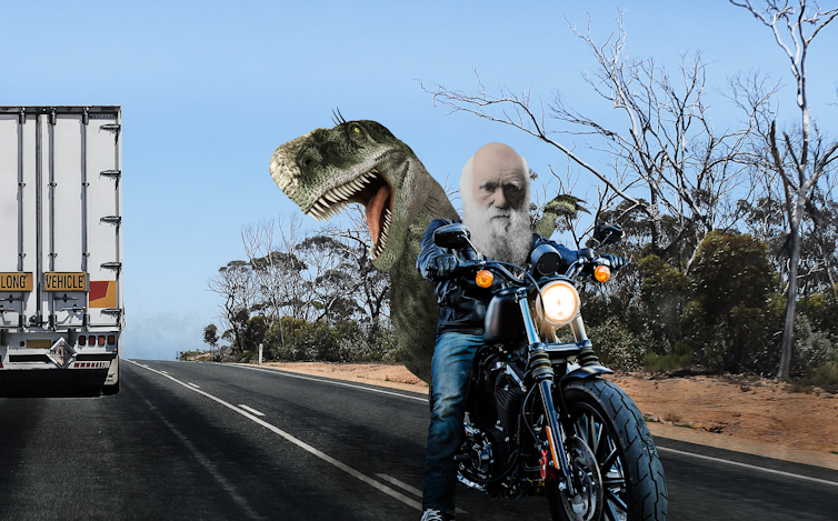 File 20180926 48659 hdxqck.png?ixlib=rb 1.1