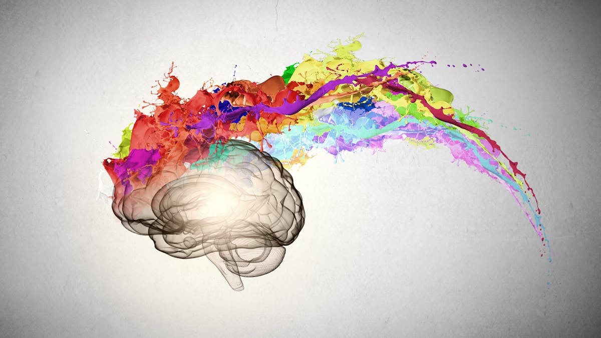 Knowledge Can Take Many Forms One Of Them Is Art