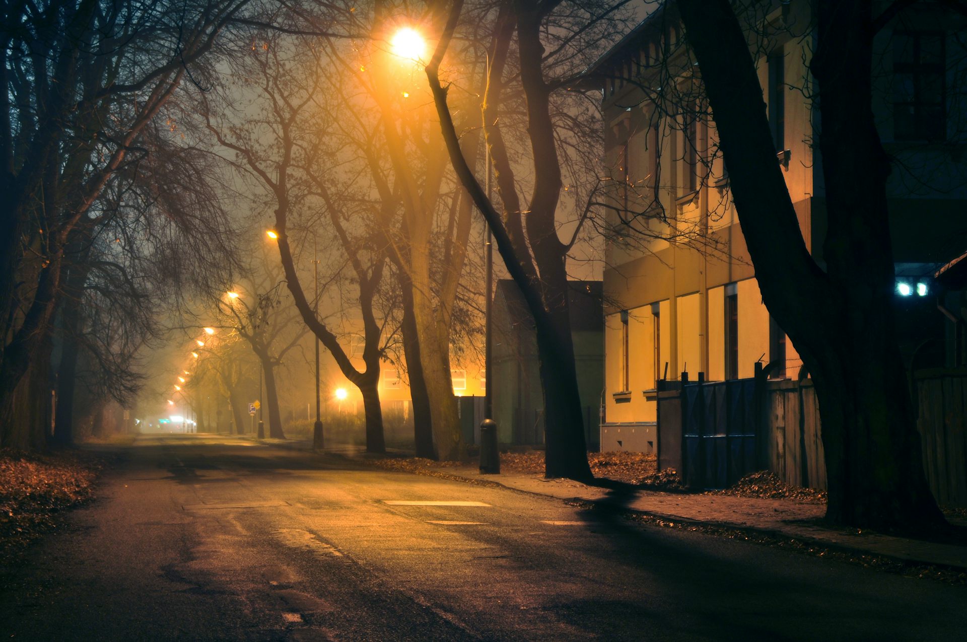 street lights at night