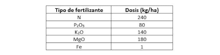 Así hemos usado satélites para que las naranjas estén más ricas