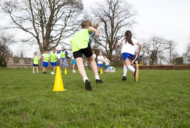 should schools require physical education essay
