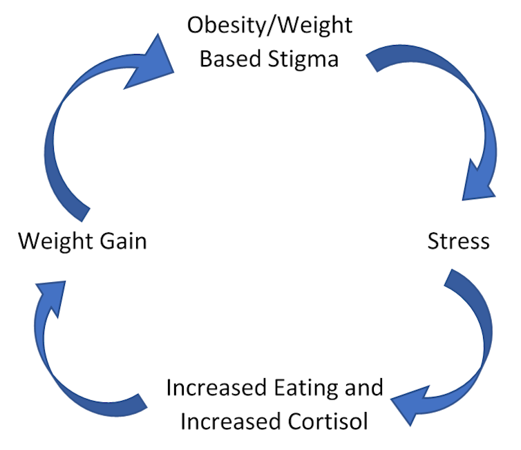 CYCLE. Cyclic Obesity Weight Based Stigma Model. Tomiyama, A