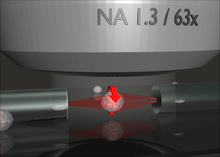 optical cell rotator