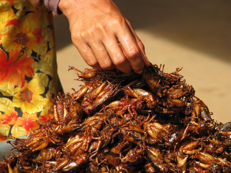 Eating insects: good for you, good for the environment