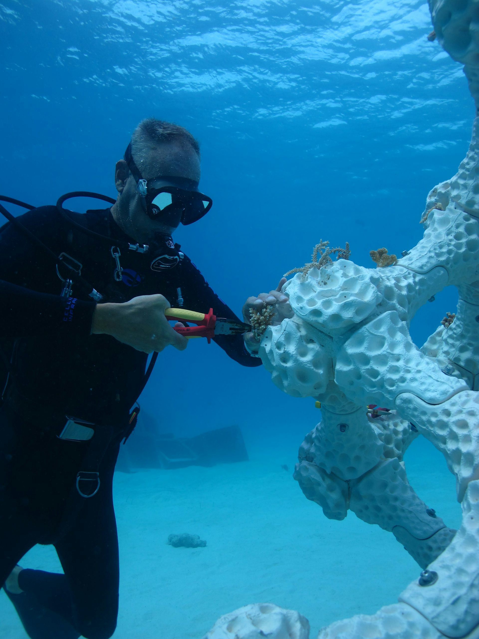 3D Printing Coral Reefs Can Create New Habitat – But It Doesn't Tackle ...