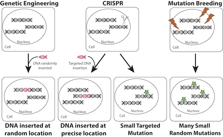 CRISPR Diagram | IFIS Publishing