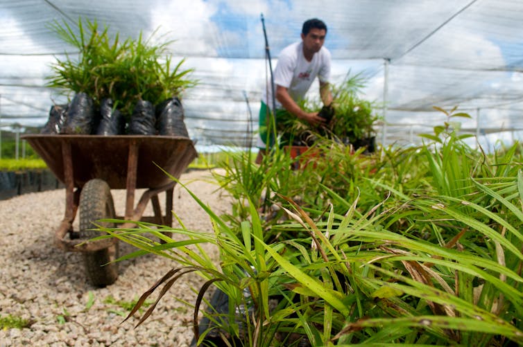 New UN report outlines 'urgent, transformational' change needed to hold global warming to 1.5°C