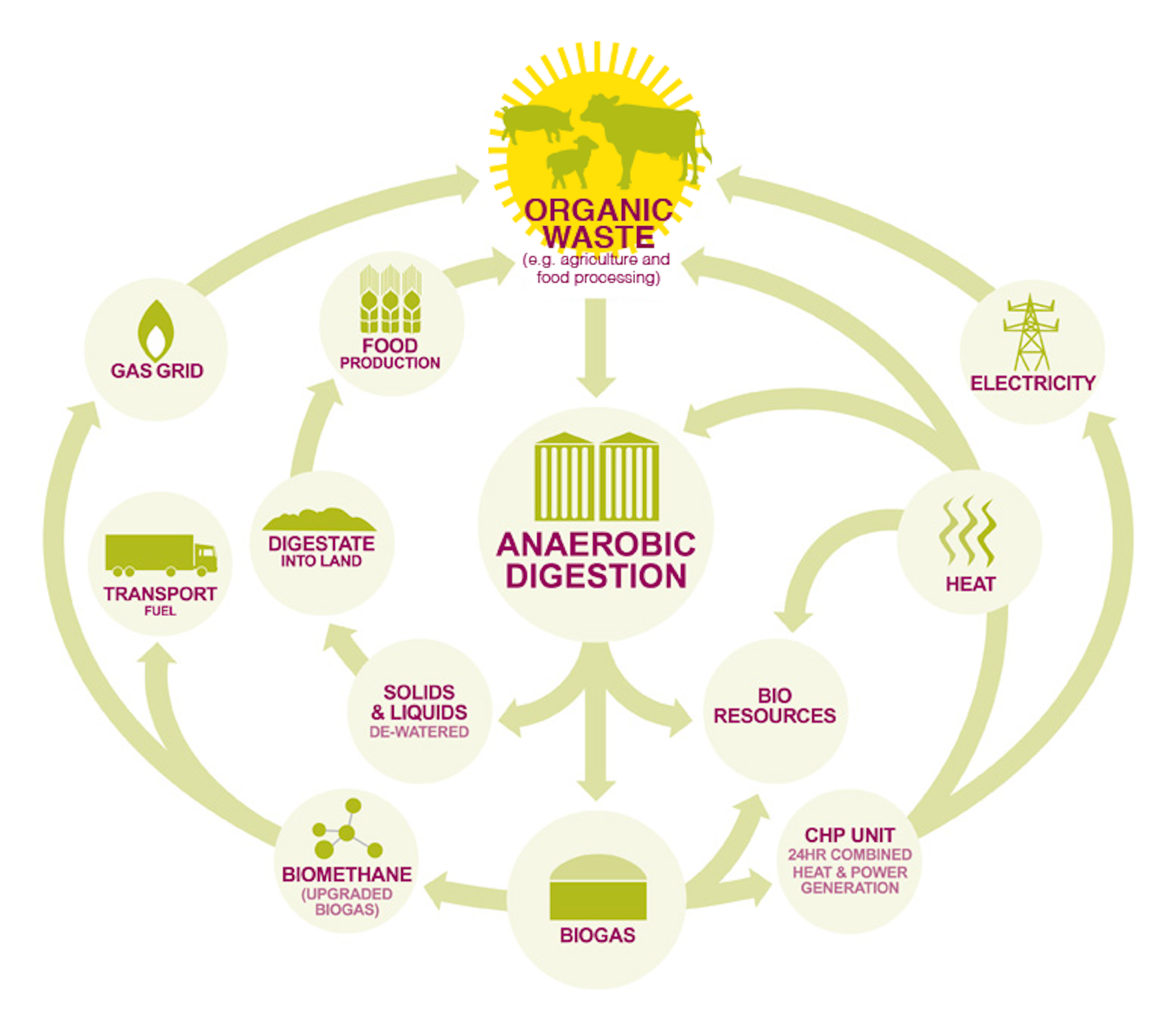 How Biomethane Can Help Turn Gas Into A Renewable Energy Source