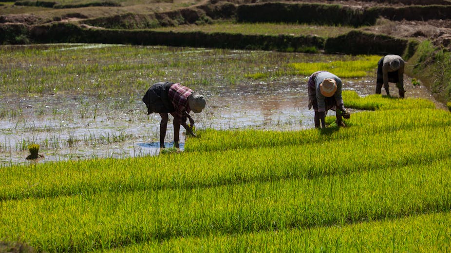 The Private Sector, Agriculture and Climate Change. Connecting the Dots