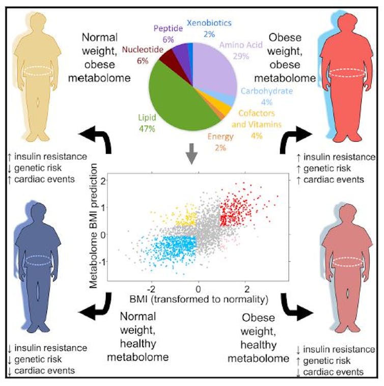 There are many types of obesity – which one matters to your health