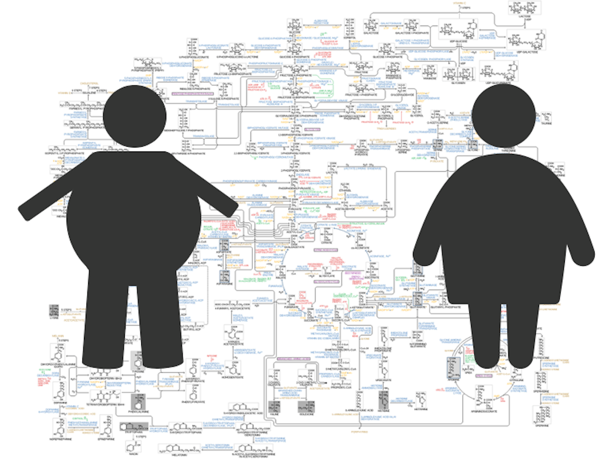There Are Many Types Of Obesity Which One Matters To Your