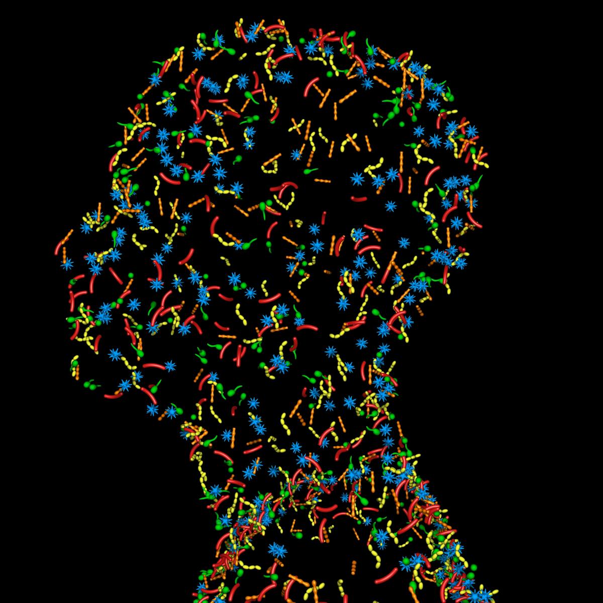 Conozca los billones de virus que constituyen su viroma