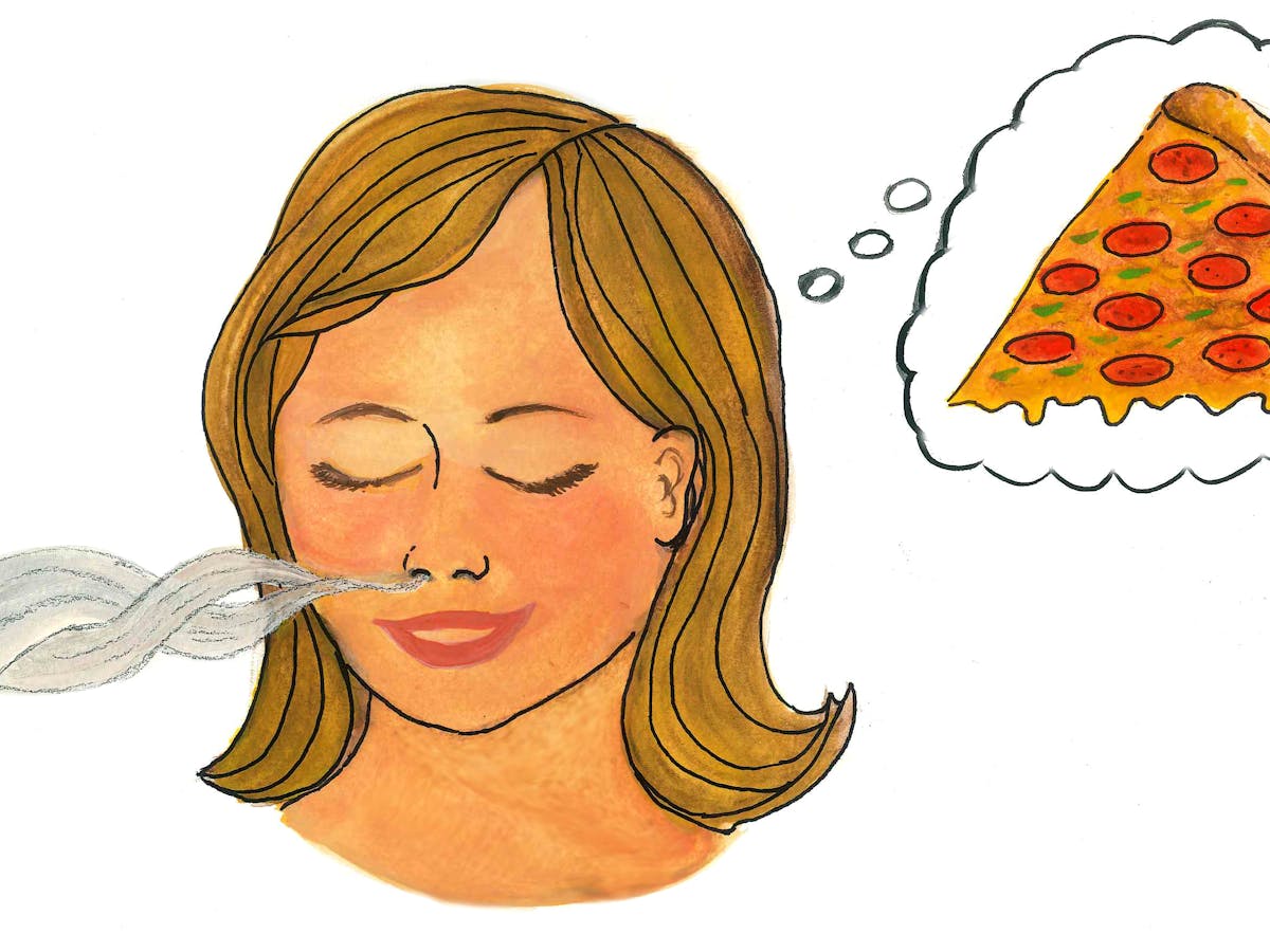Featured image of post Human Nose Nose Drawing For Kids : These are two common mistakes.