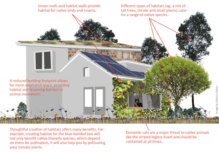 Here's how to design cities where people and nature can both flourish