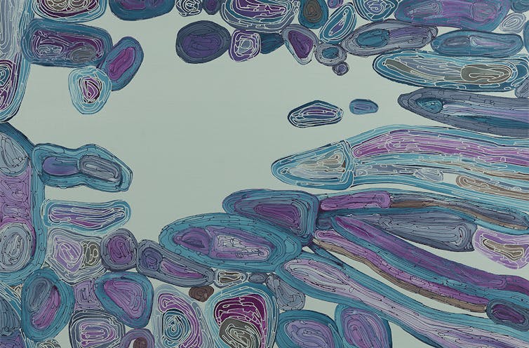 The resonances between Indigenous art and images captured by microscopes