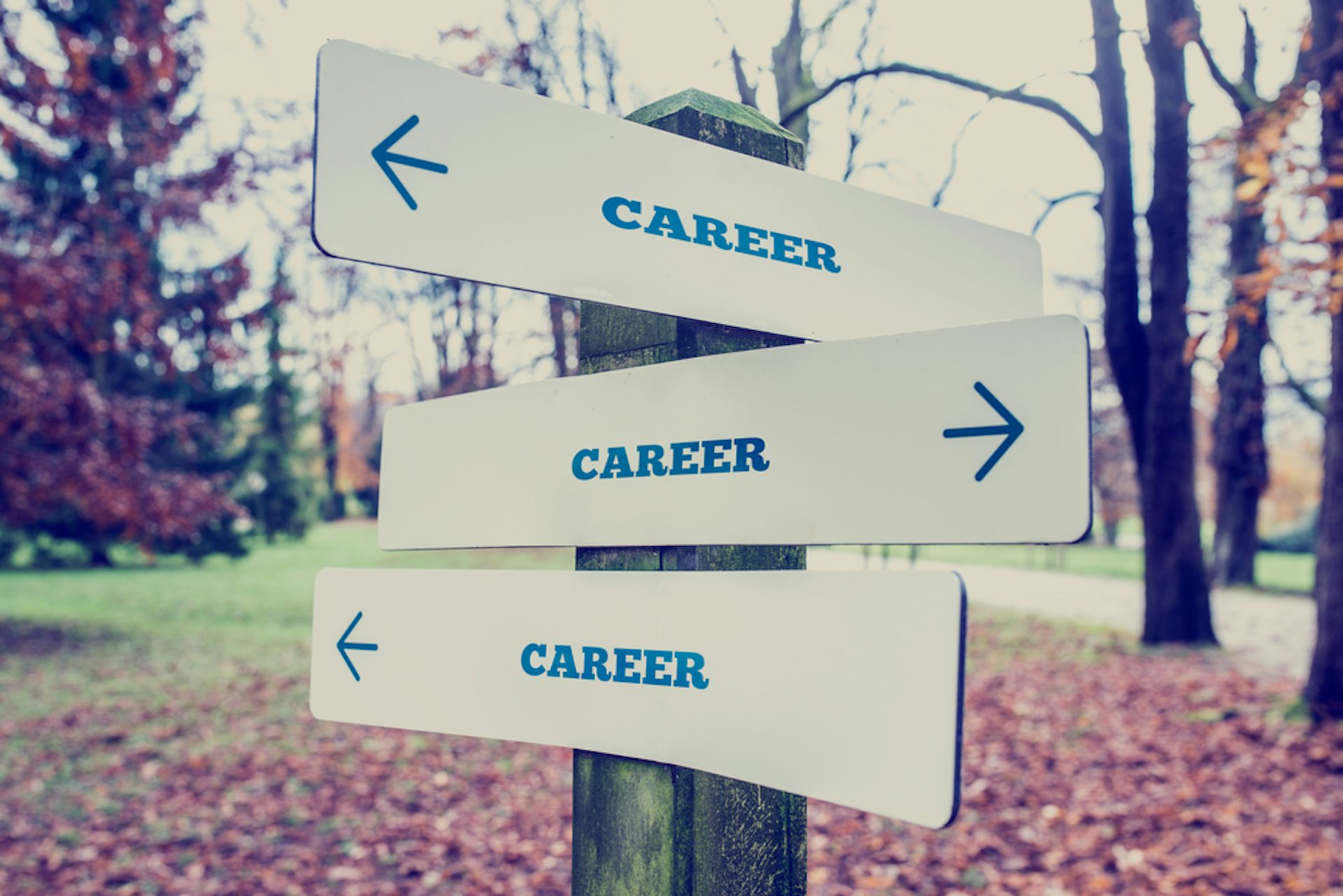 Shaping the Story: A Guide to Facilitating Narrative Career Counselling [ペーパーバック] Maree， Kobus Shaping the Story – A Guide to Facilitating Narrative Career