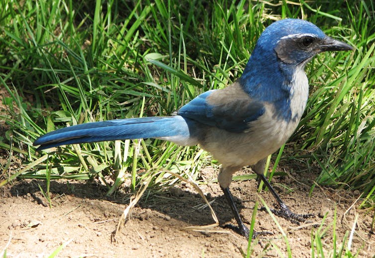 File 20181017 41135 o5ozah.jpg?ixlib=rb 1.1