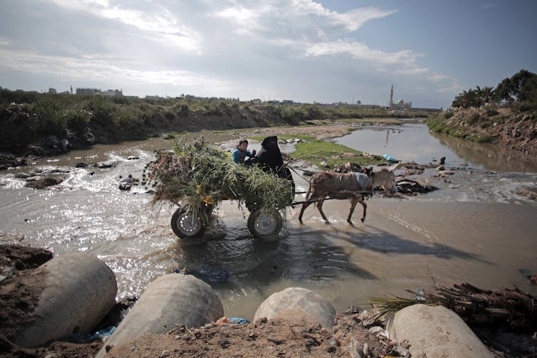 Sewage surveillance is the next frontier in the fight against polio