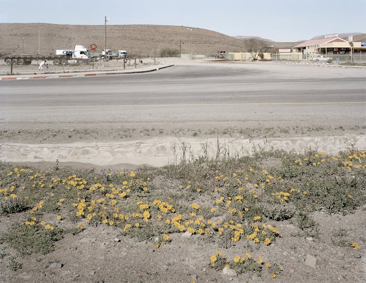 David Goldblatt's kind, calm photographs of South Africa exist in a morality minefield