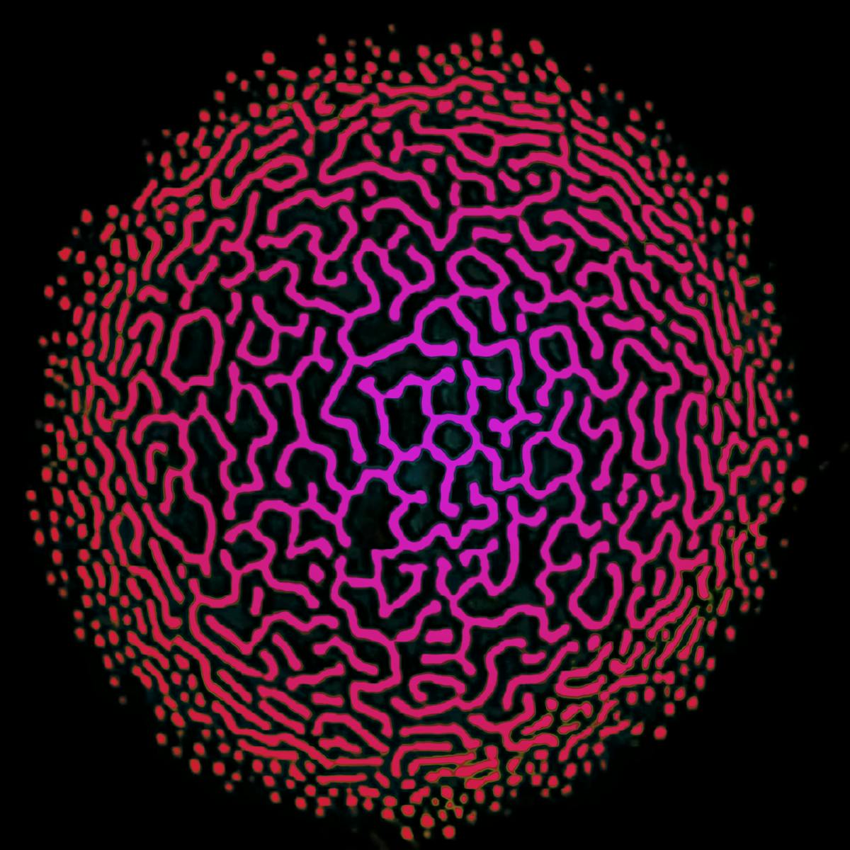 How a trippy 1980s video effect might help to explain consciousness