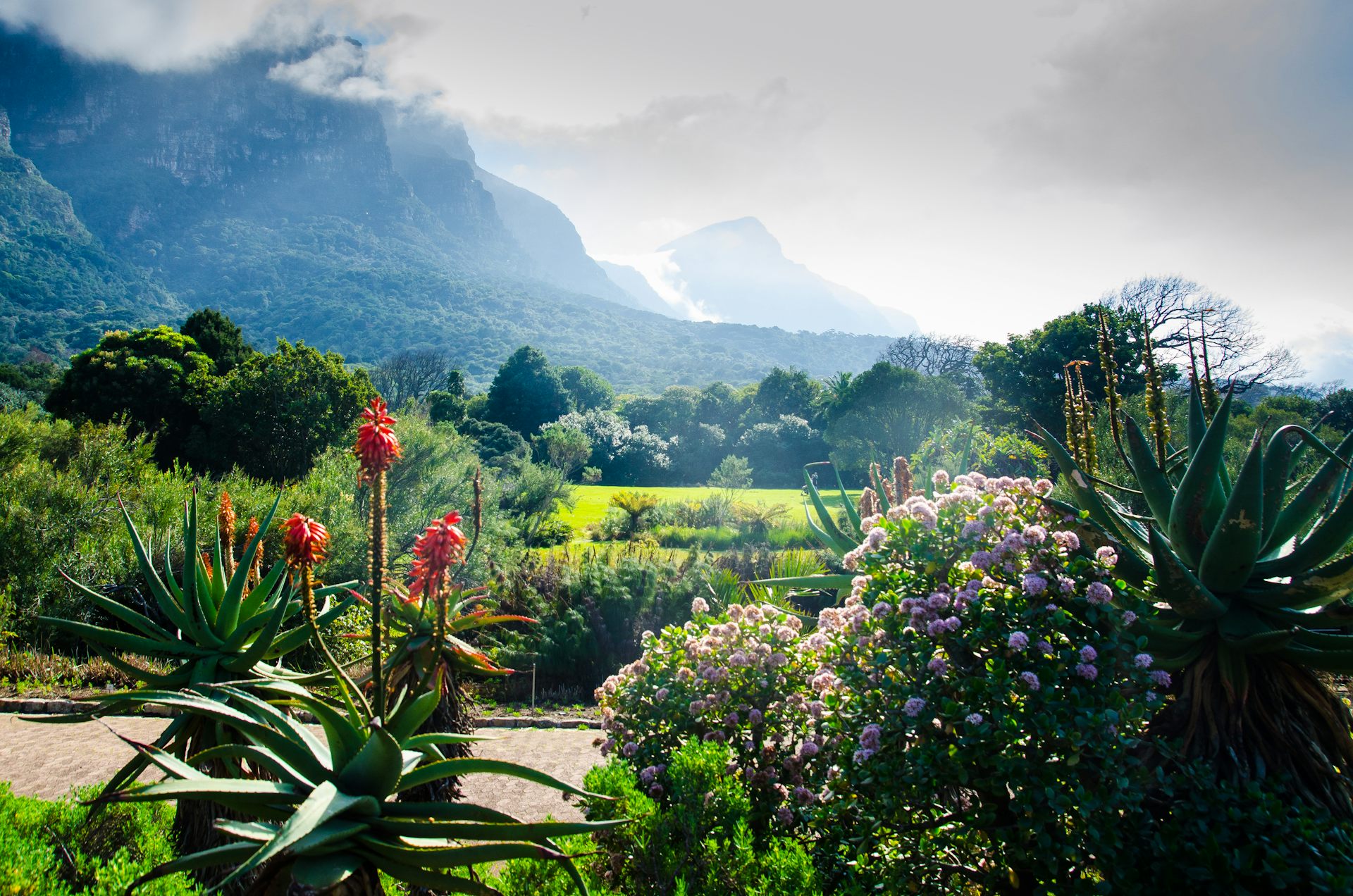 Kirstenbosch Sanbi