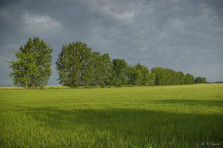 We must look past short-term drought solutions and improve the land itself