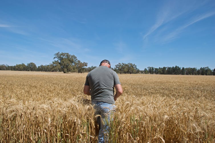 We must look past short-term drought solutions and improve the land itself