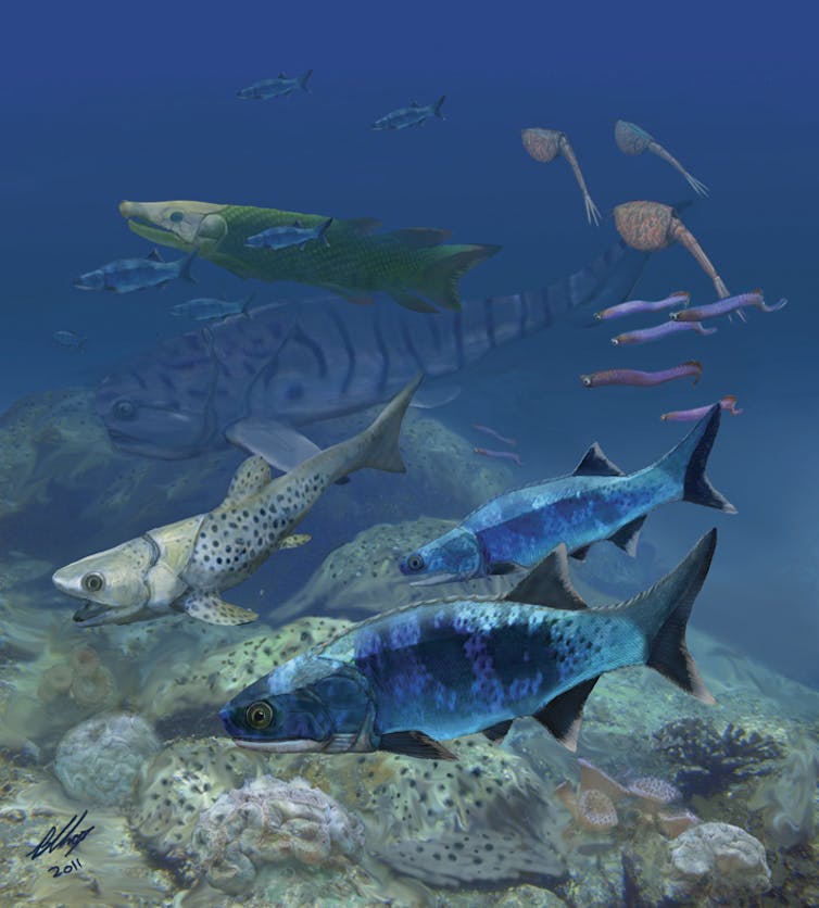 Ancient fish evolved in shallow seas – the very places humans threaten today