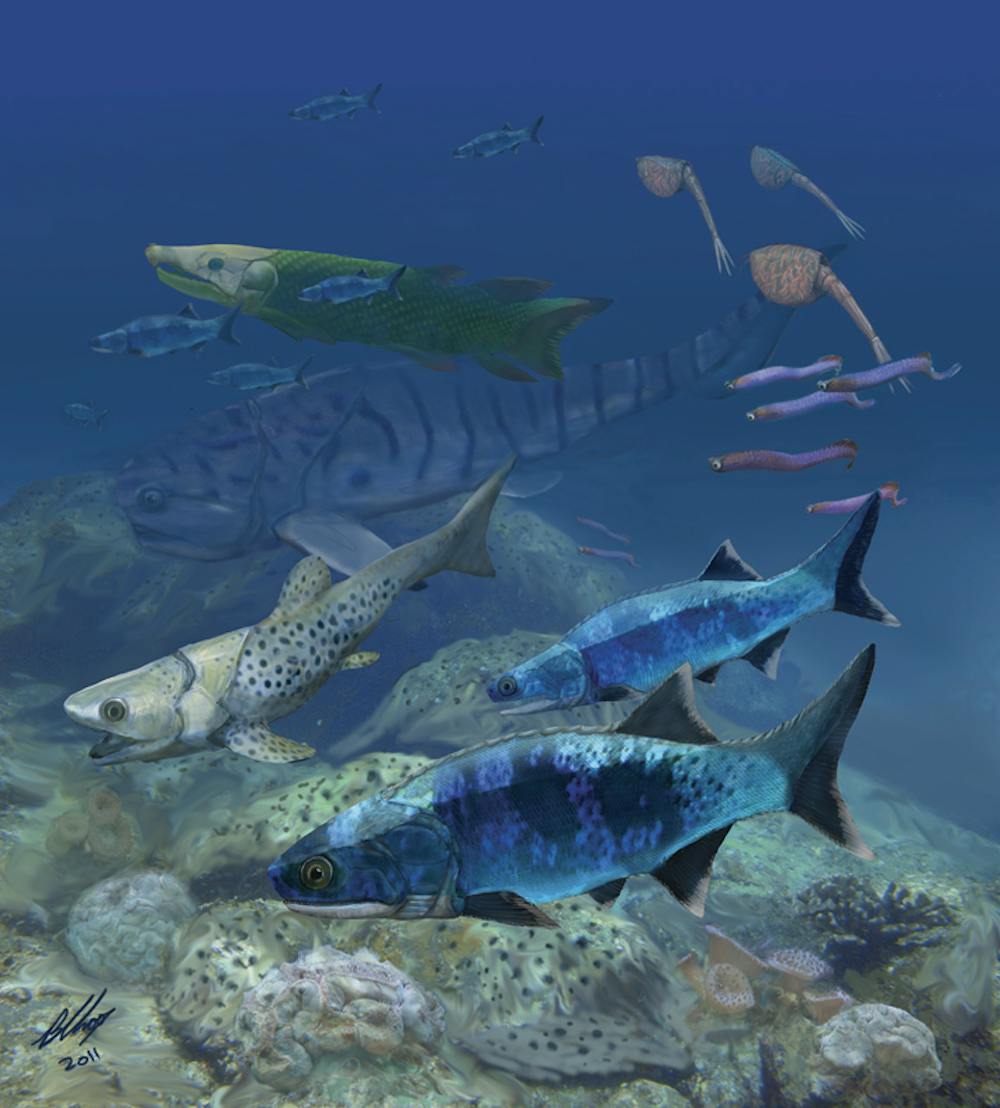 Ancient fish evolved in shallow seas – the very places humans threaten ...