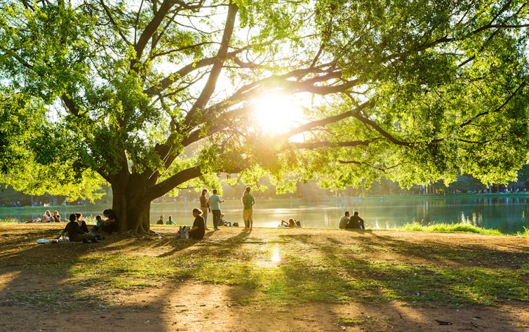 File 20181023 169831 v37hq9.jpg?ixlib=rb 1.1