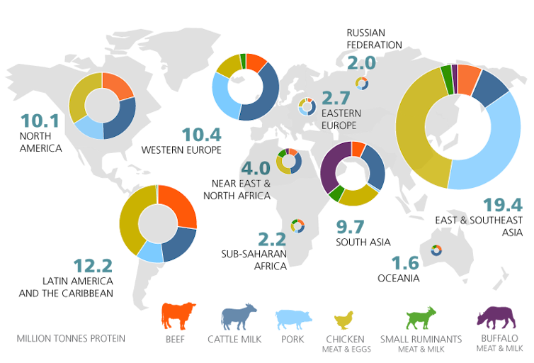 Yes, eating meat affects the environment, but cows are not killing the climate