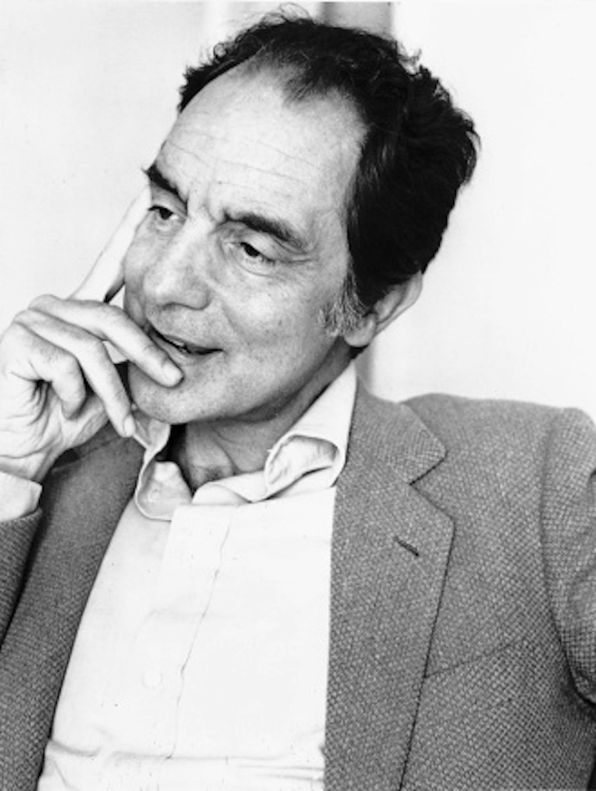 italo calvino baron in the trees