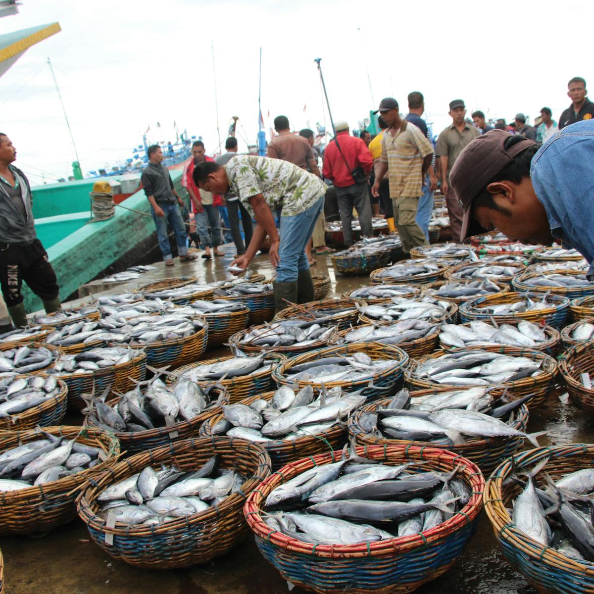 fishIDER, a new tool to improve fisheries management in Indonesia